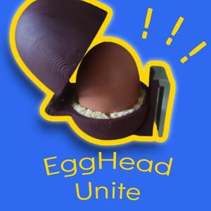 Egg Holster
