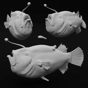 Triplewart Seadevil - Realistic Angler Fish 3d Print