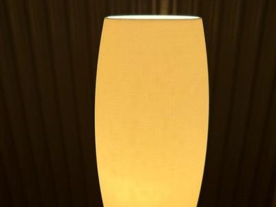 Lamp Housing