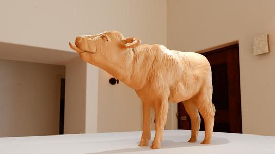 cow calf mooing tongue out stl