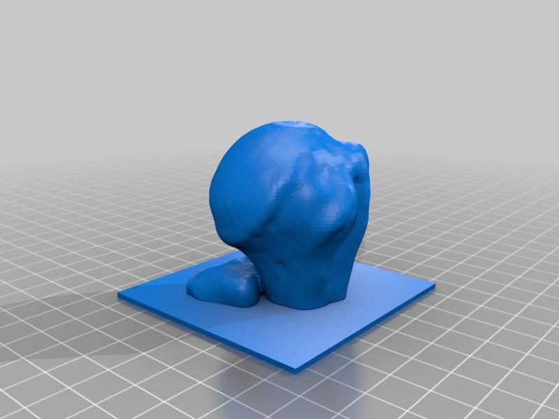 Human Humerus epifisis 