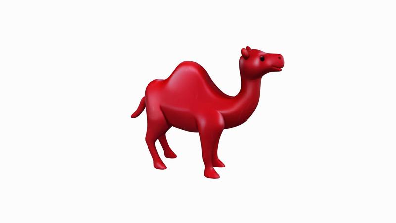 Arabian Camel Dromedar