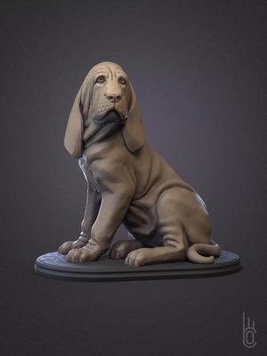 Bloodhound puppy