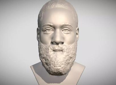 James Harden bust