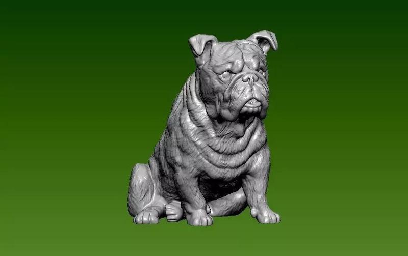 Bull dog - statue - 3D print