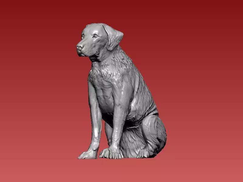 Greyhound - Boerboel Dog - 3D print