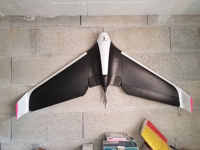Parrot Disco hook