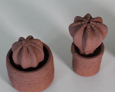 clay cactus mix