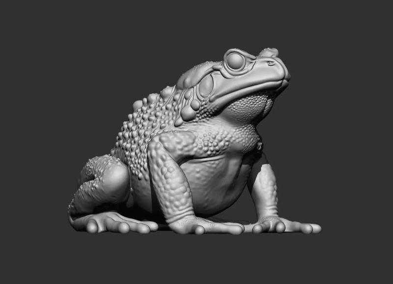 frog stl 3d printable model