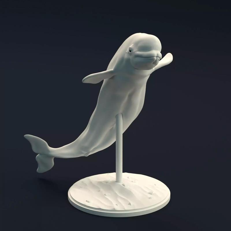 Beluga Whale for 3D Printing