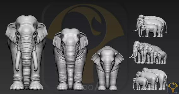 Elephant asian