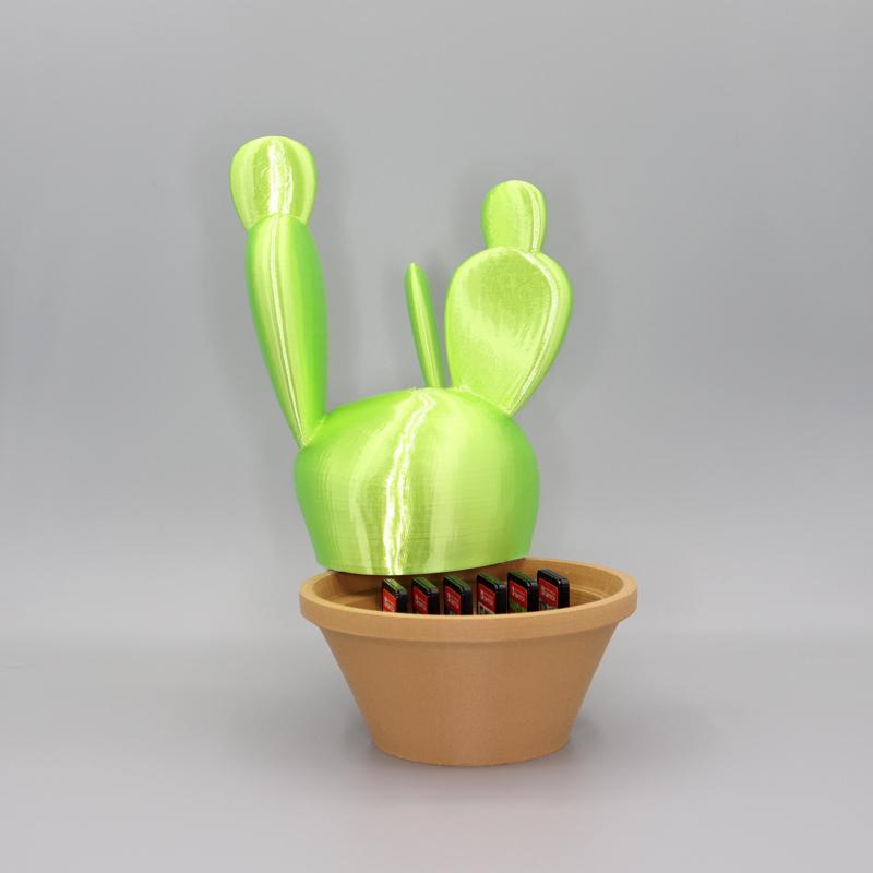 Cactus Nintendo switch cartridge holder