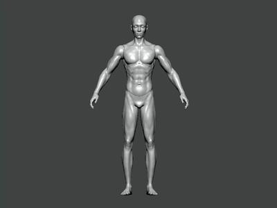 3D Model-ANATOMY0004 male body