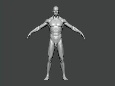 3D Model-ANATOMY0010 human body