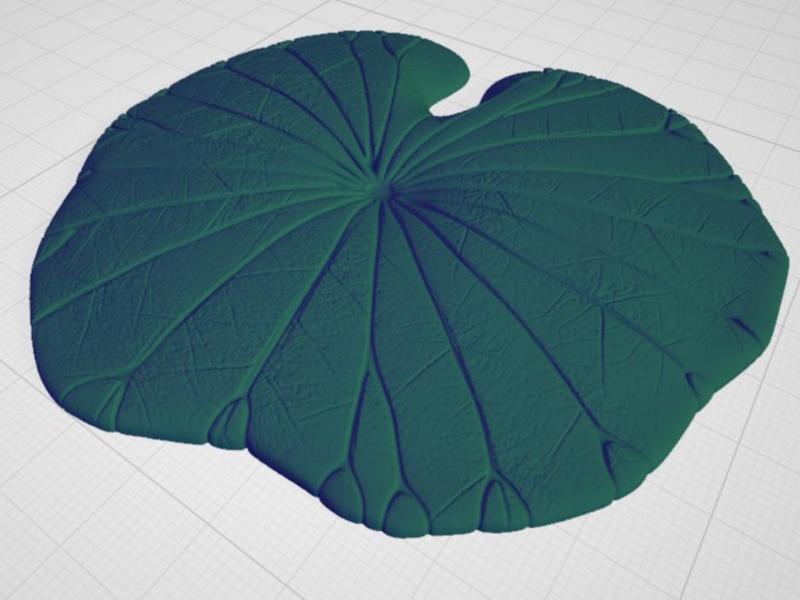 3D Lotus Leaf