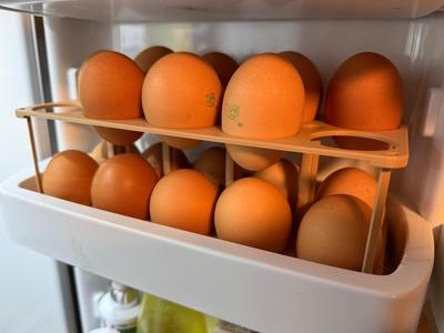 Egg holder (10x2) - Fridge egg tray replacement