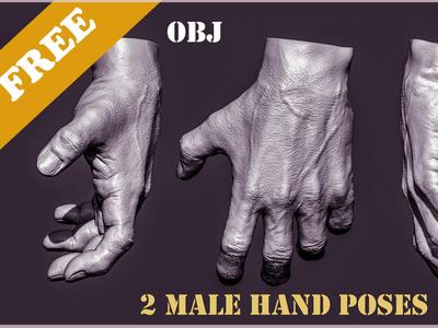2 Male hand poses