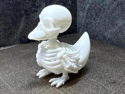 Skeleton duck