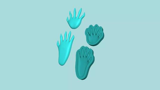 Raccoon Footstep - Silicone Mold -Template