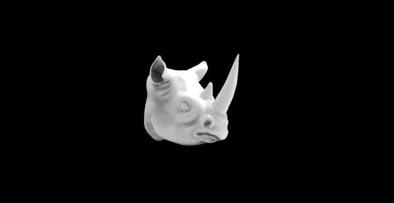 rhino