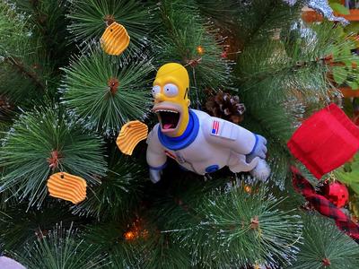 HOMER SIMPSON ASTRONAUT