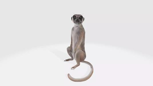Meerkat 3D Model Ready to Print