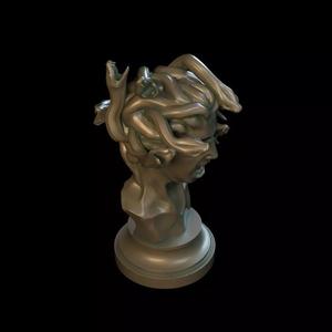 Medusa model statue of snake