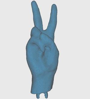 Peace Sign Hand
