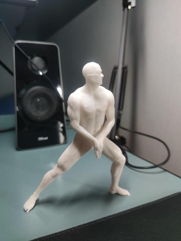 Human Anatomy - Man (A-pose + Pose)