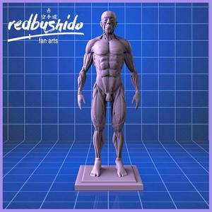 Anatomically perfect Écorché .STL FILE