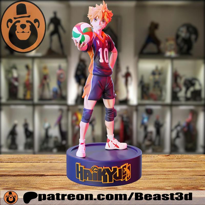 Hinata Shoyo - Haikyuu