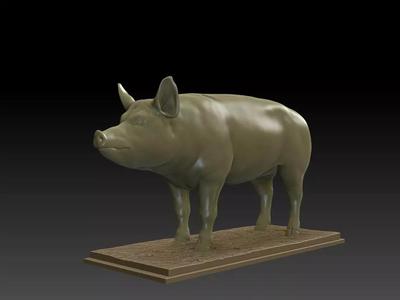 PIG 3D MODEL