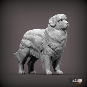Newfoundlands 3D print model