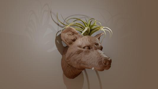 Tasmanian tiger dog head wall mount planter pot stl