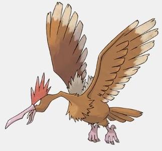Fearow Pokemon