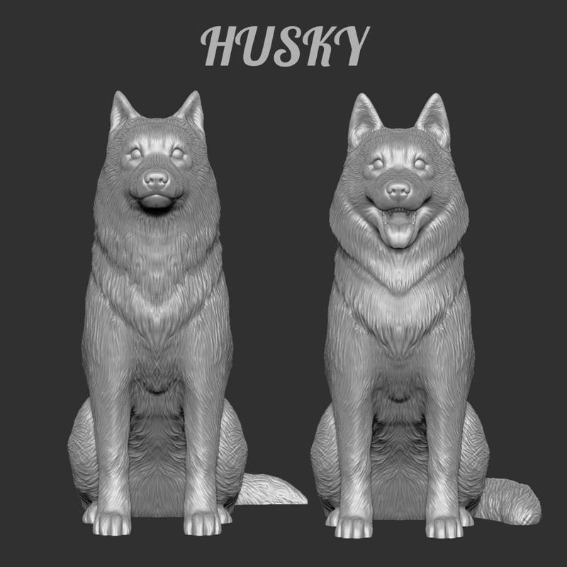 husky