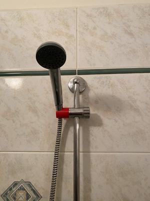 Shower holder