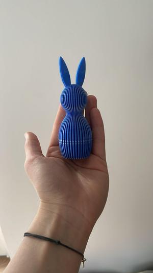 Bunny