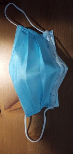 Facemask removable nose clip extended