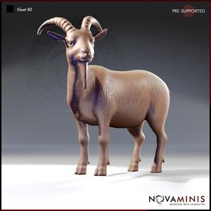 Goat 02