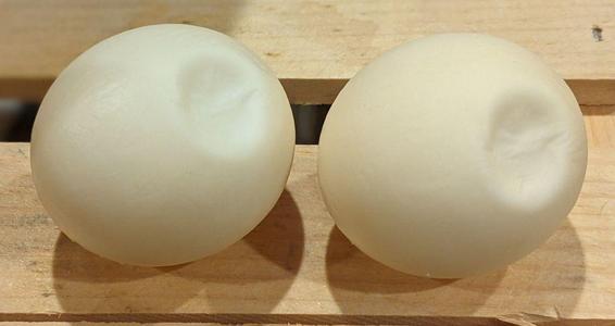 Sea Turtle Egg