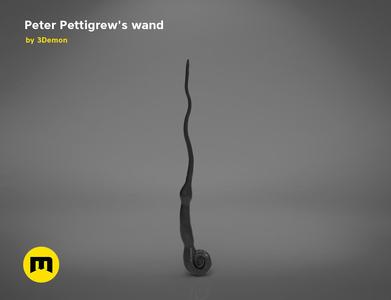 Peter Pettigrew’s Wand