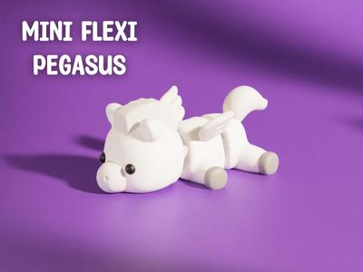 Flexi Pegasus