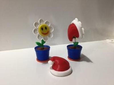 1 Flower in Pot