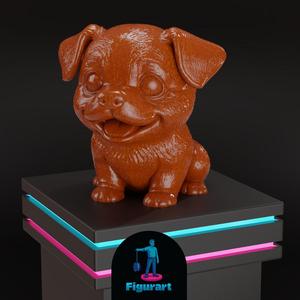 Cute Little Dog