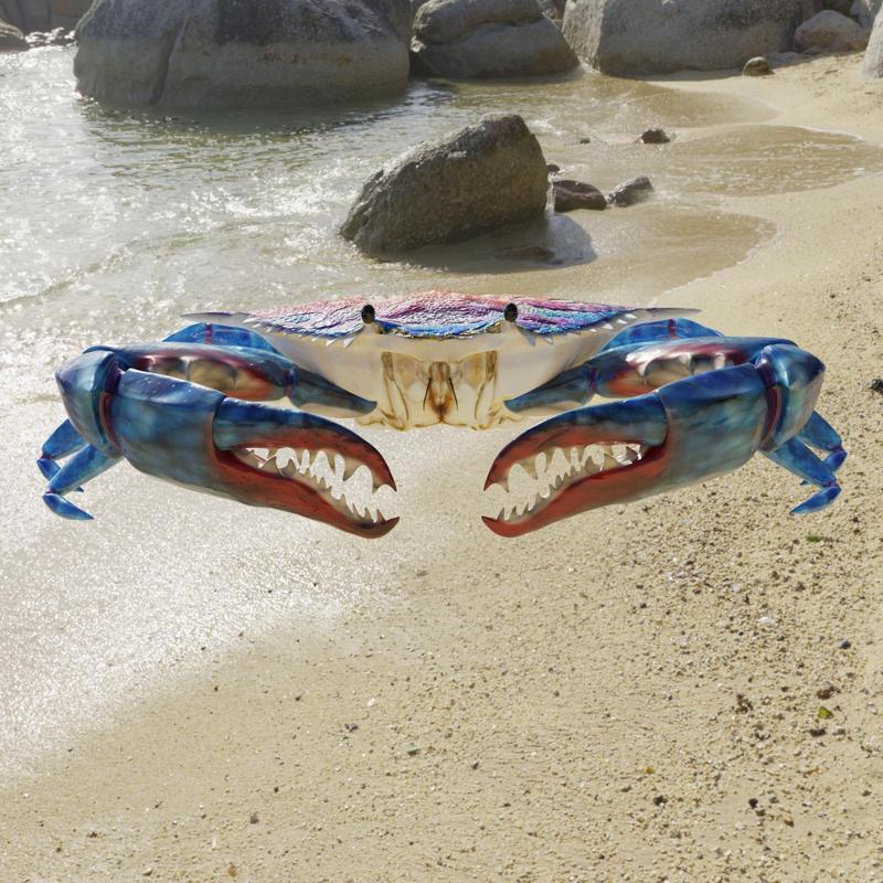 Blue Crab