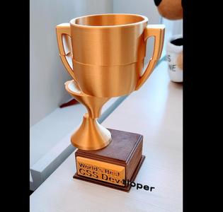 "World's Best CSS Developer" Trophy