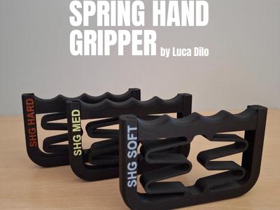 Spring Hand Gripper