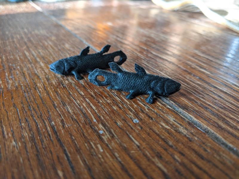 Coelacanth Earrings