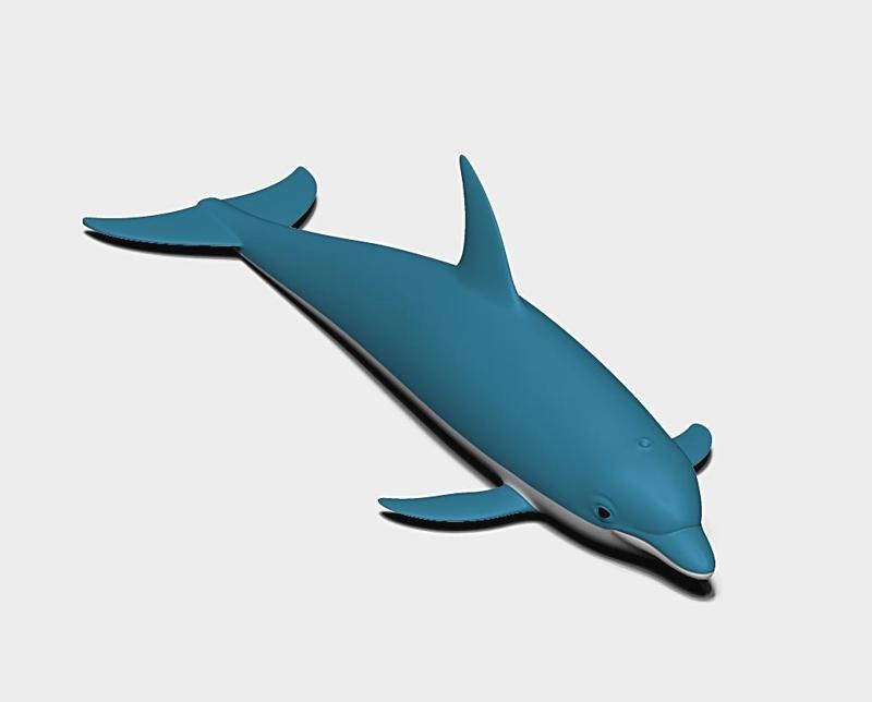 dolphin
